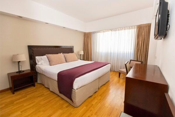 Pacote Buenos Aires - 4 dias e 3 noites (Hotel de Las Americas) - Image 4
