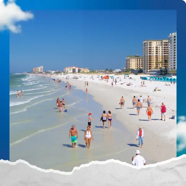 Day Trip - Clearwater - Image 5