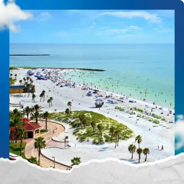 Day Trip - Clearwater - Image 2