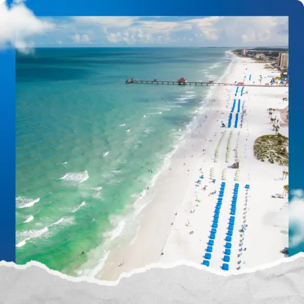 Day Trip - Tampa Bay - Image 3